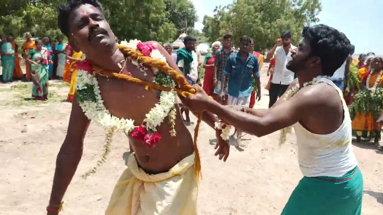 யாருக்கும் அடங்காமல் ஆக்ரோஷமாக துள்ளி வந்த பாவாடைராயன் | அழைத்து ஆட வைத்த பம்பைசெந்தில் பூசாரி