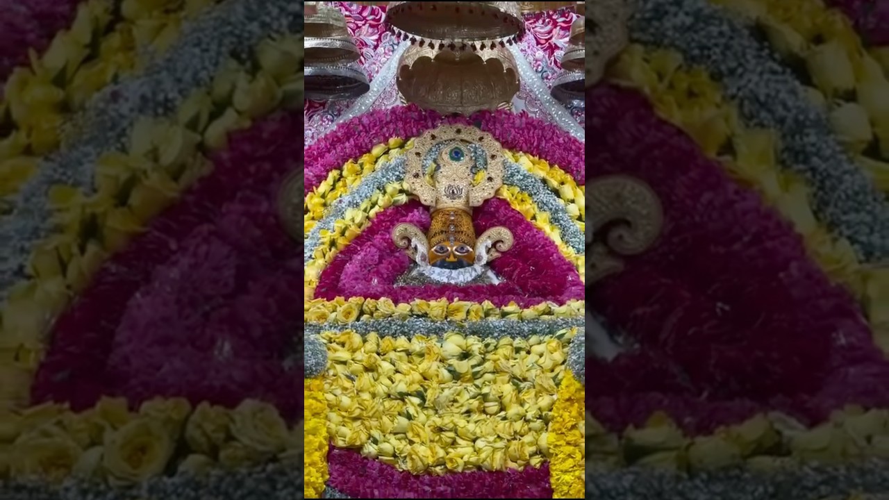 Khatushyam darshan 🙏🏻.  #music #khatuahyamji #khatuwaleshyam #khatushyamdarshan #youtubefamily