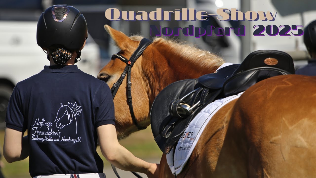 NordPferd 2025  Quadrille Haflinger Freundeskreis Highlight