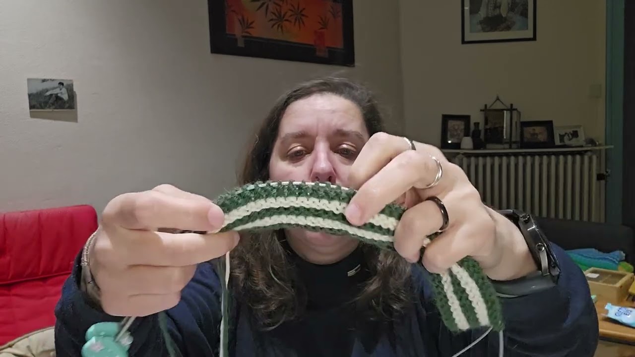 Vlog 2026, semaine 6 : Tricot en roue libre… et pause des vlogs 🧶⏸️