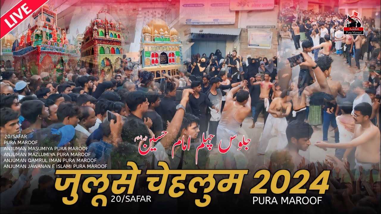 🔴LIVE ON | जुलूसे चेहलुम 2024 | Juloos E Chhelum Taziya Pura Maroof | 20 Safar Pura Maroof 2024/1446