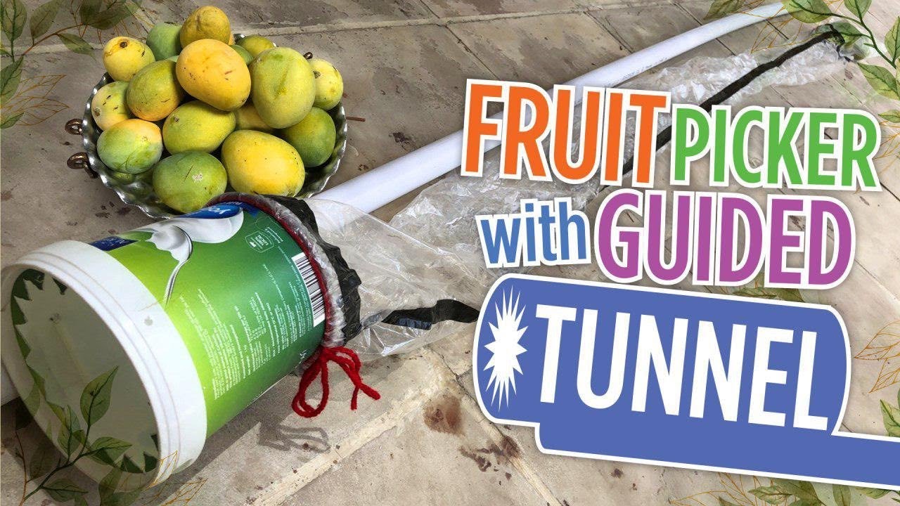 Fruit picker with guided tunnel