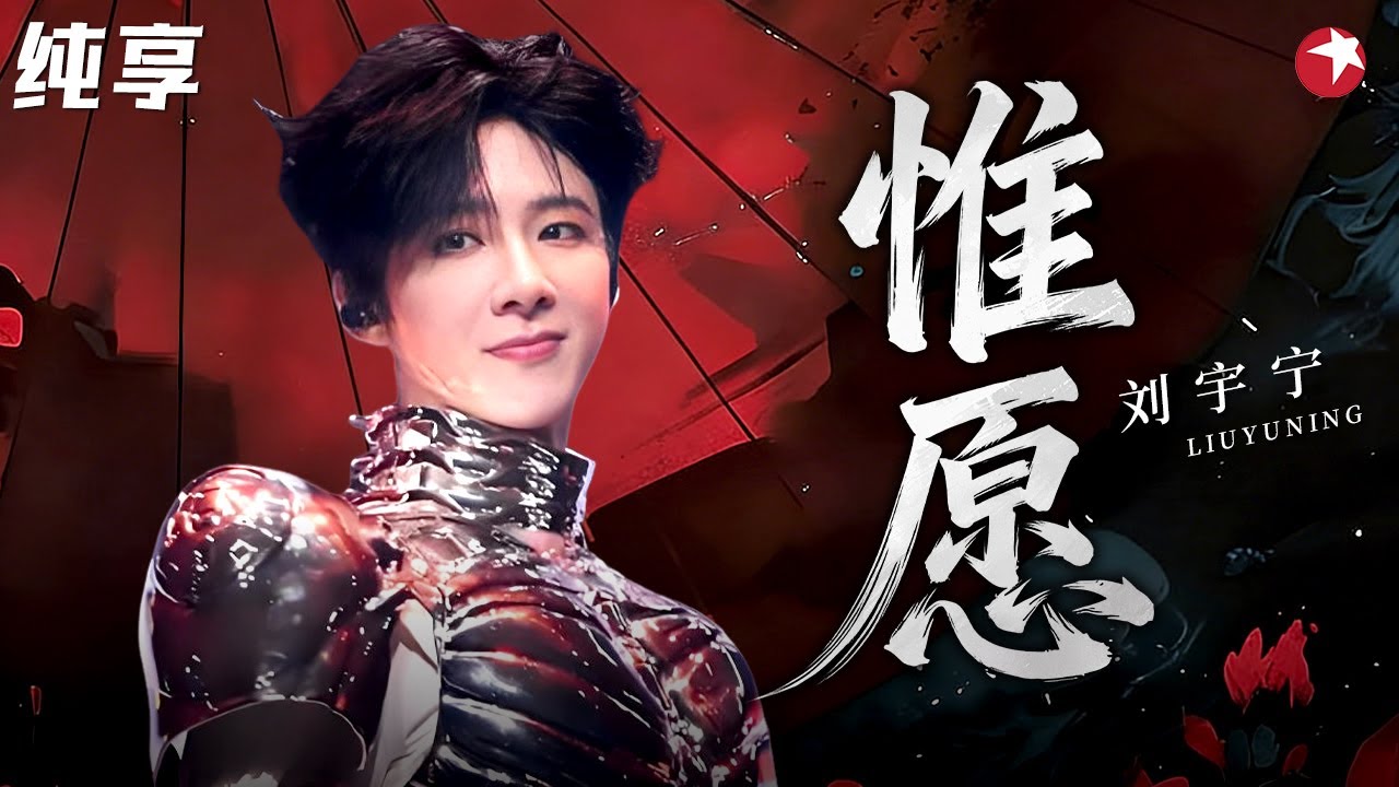 不愧是ost专业户，刘宇宁现场唱《惟愿》，开口自带江湖直接梦回燕子京！#刘宇宁 #明星演唱会 clip