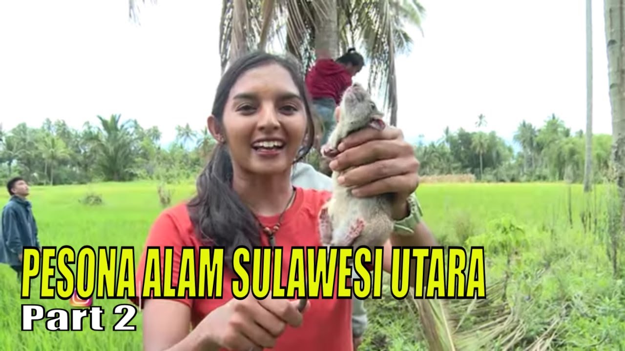 PESONA ALAM SULAWESI UTARA | JEJAK PETUALANG (08/08/23) Part 2