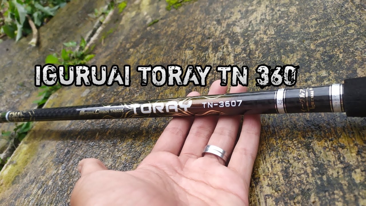 Joran Tegek Ini Benar Benar Mantaaap Luuur, Review Tegek Iguruai Toray TN