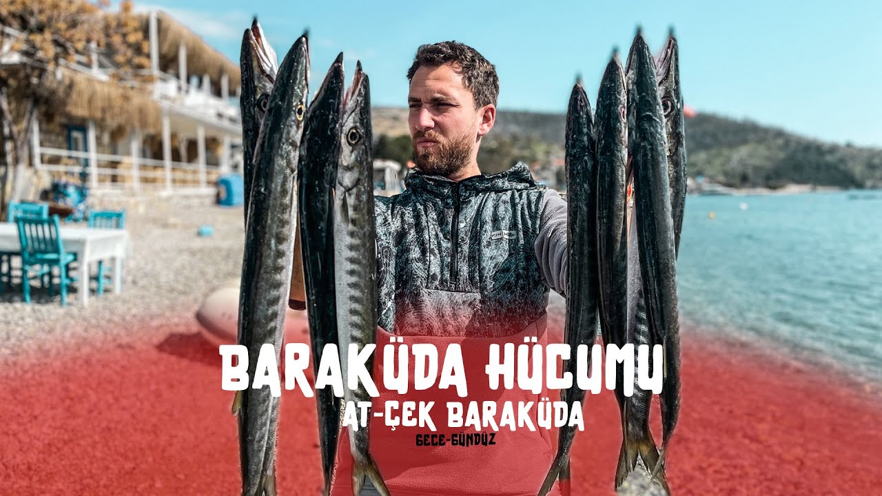 Baraküdalar Sahtelerimize Hücum etti, Bir Sürü Balık Tuttuk!