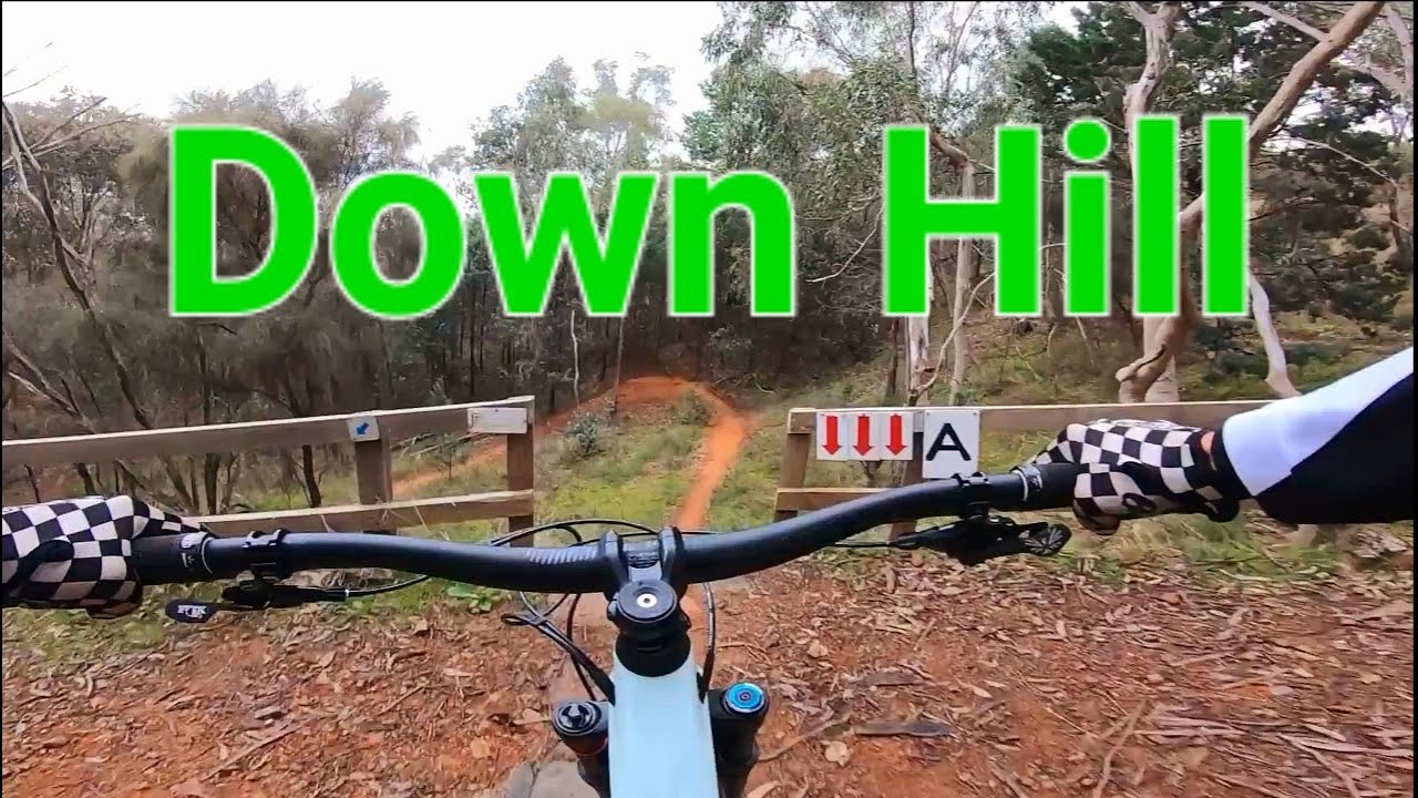 Downhill A line Pomingalarna Wagga Mountain Bike