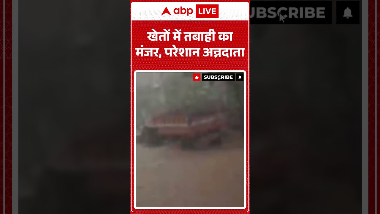 Viral News : खेतों में तबाही का मंजर, परेशान अन्नदाता | #ytshorts #thunderstorm #weather #rain