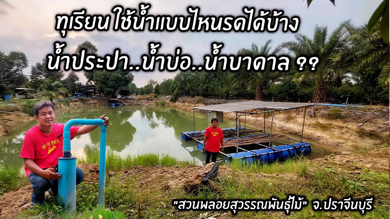 ทุเรียนใช้น้ำแบบไหนรดได้บ้าง น้ำประปา..น้ำบ่อ..น้ำบาดาล ?? 