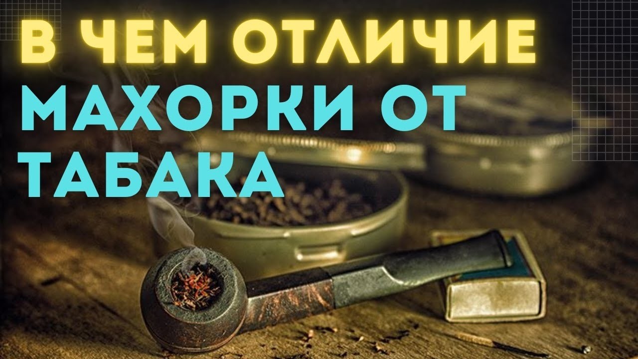 Махорка против табака: в чем разница?