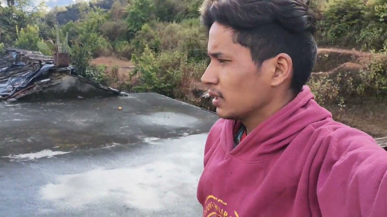 जंगली मुर्गी आए थे हमारे घरके सामने