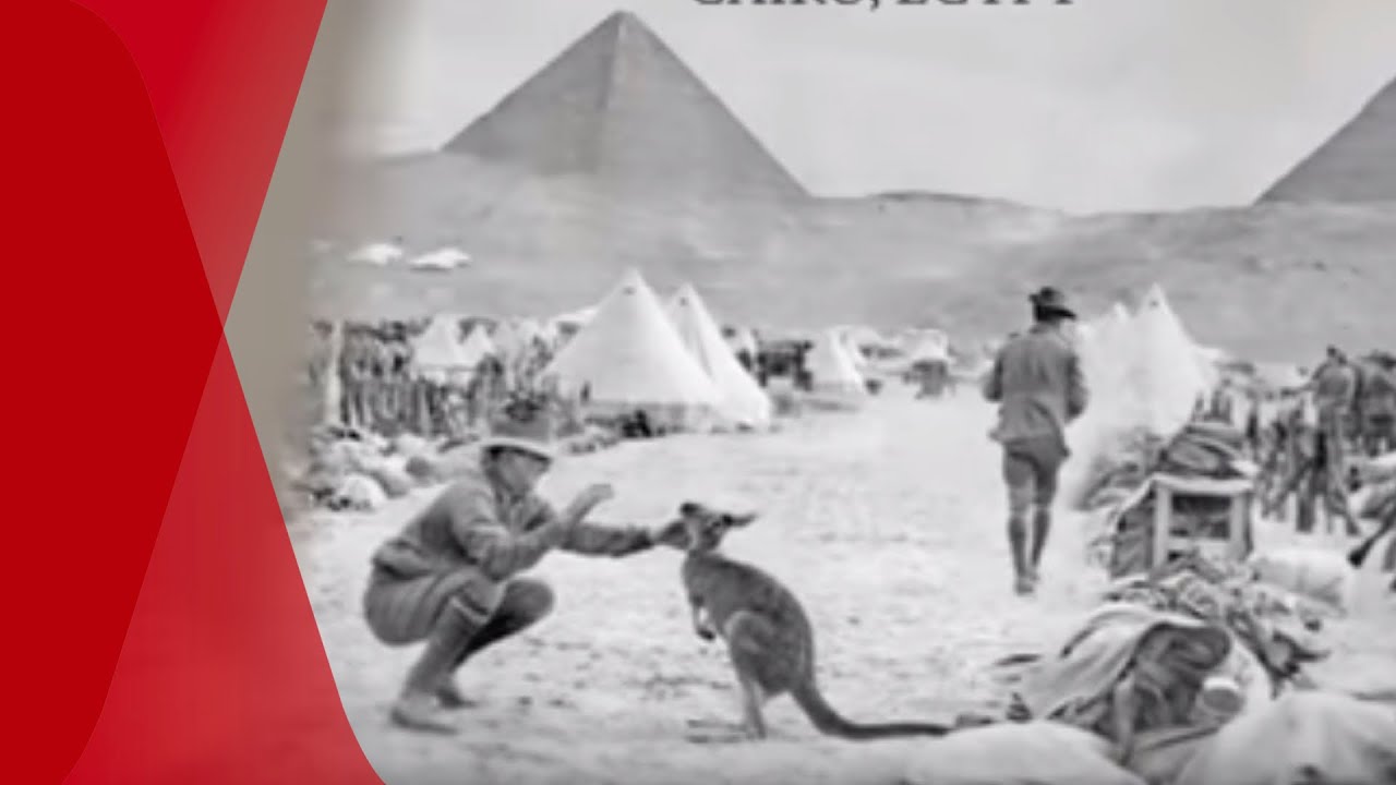 Honouring Our Own. Part 1: Codename ANZAC