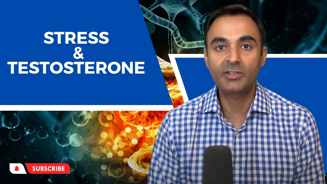 How STRESS decreases your TESTOSTERONE levels