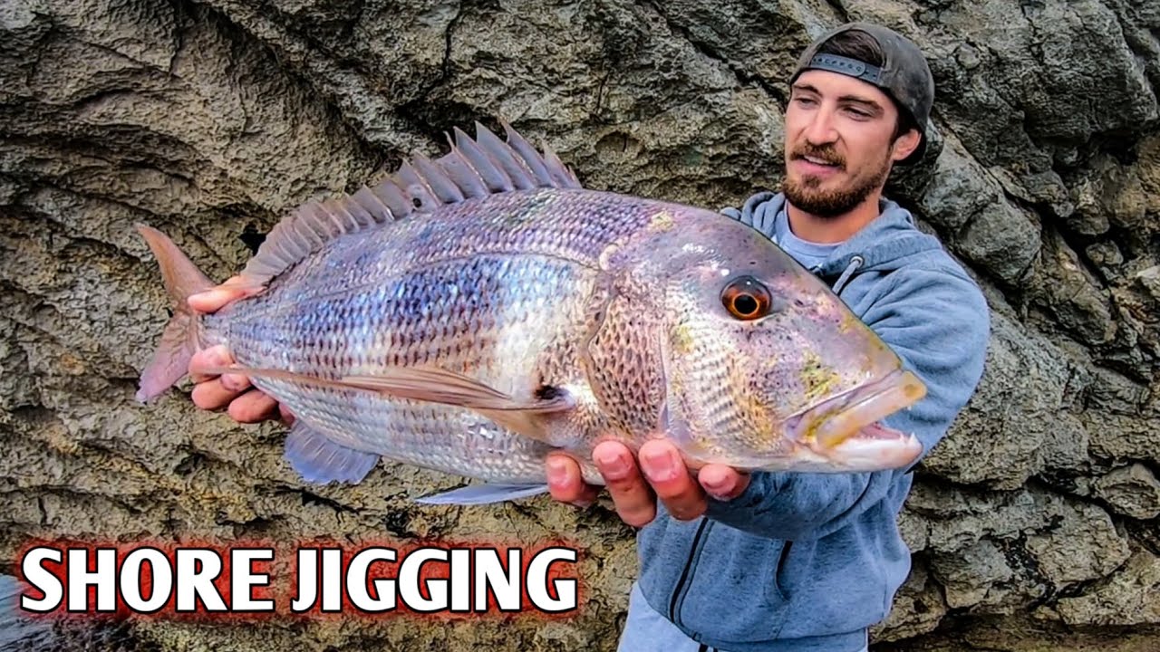 BUSCANDO PECES XL a SHORE JIGGING | VideoBlog #10