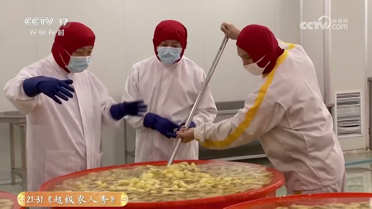 《共富经》 20260316 藏一藏更值钱 | 农业致富经 Agriculture And Farming