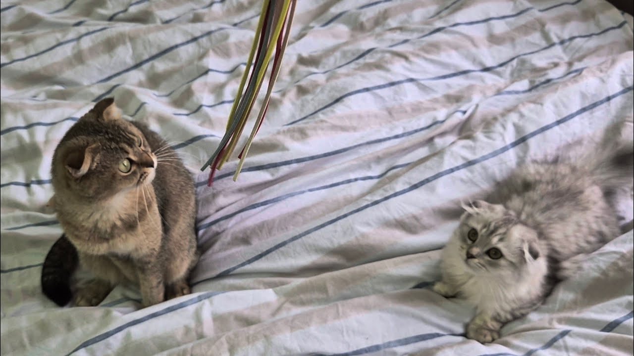 Сухарик или удочка 😊