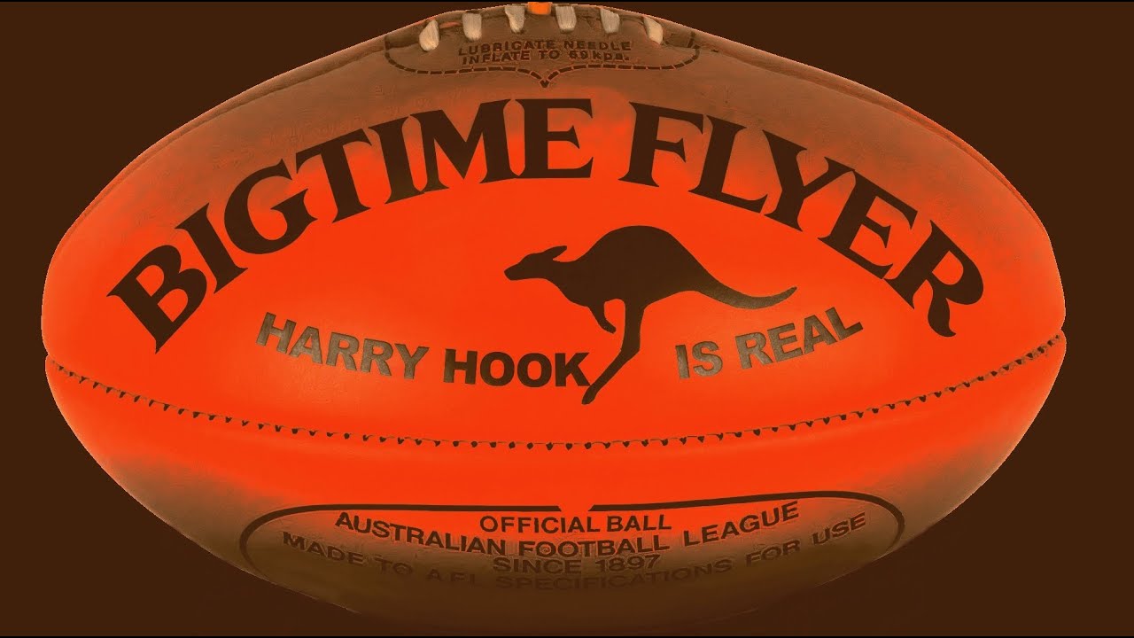 bigtime flyer - harry hook is real (lyric video)