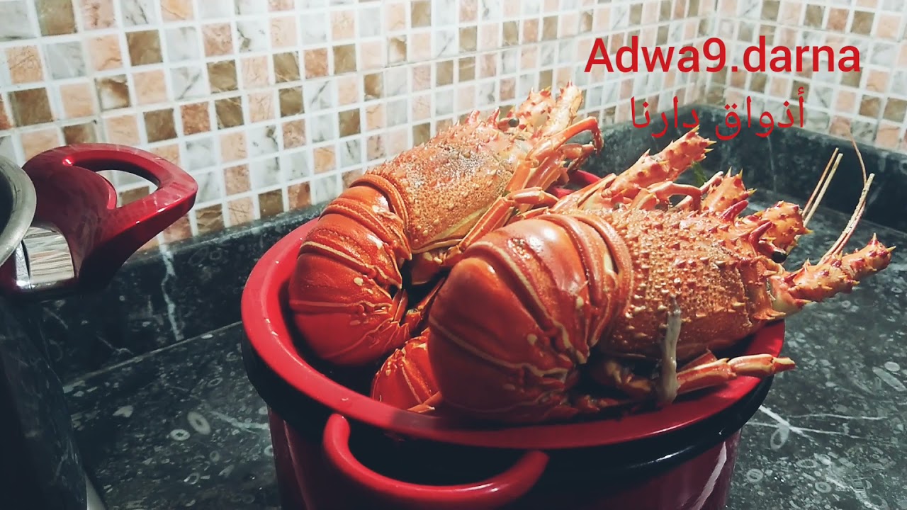 أحسن طريقة لطهي لانكوست🦞 على طريقة لشاف من يد محترفة