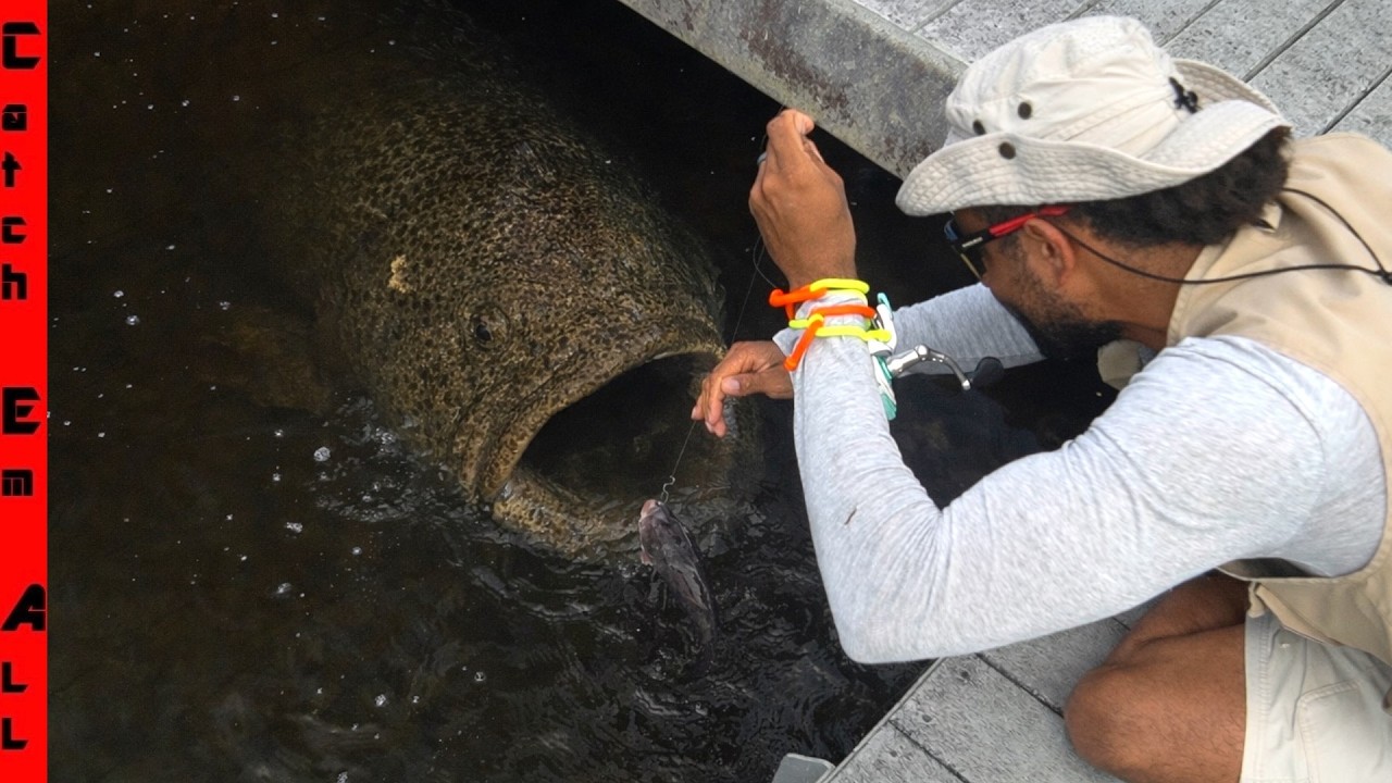 We FINALLY Hooked the Freshwater DOCK DEMON!