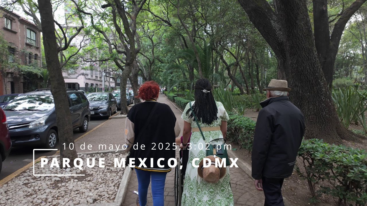 Parque México y una visita al mercado de Coyoacán