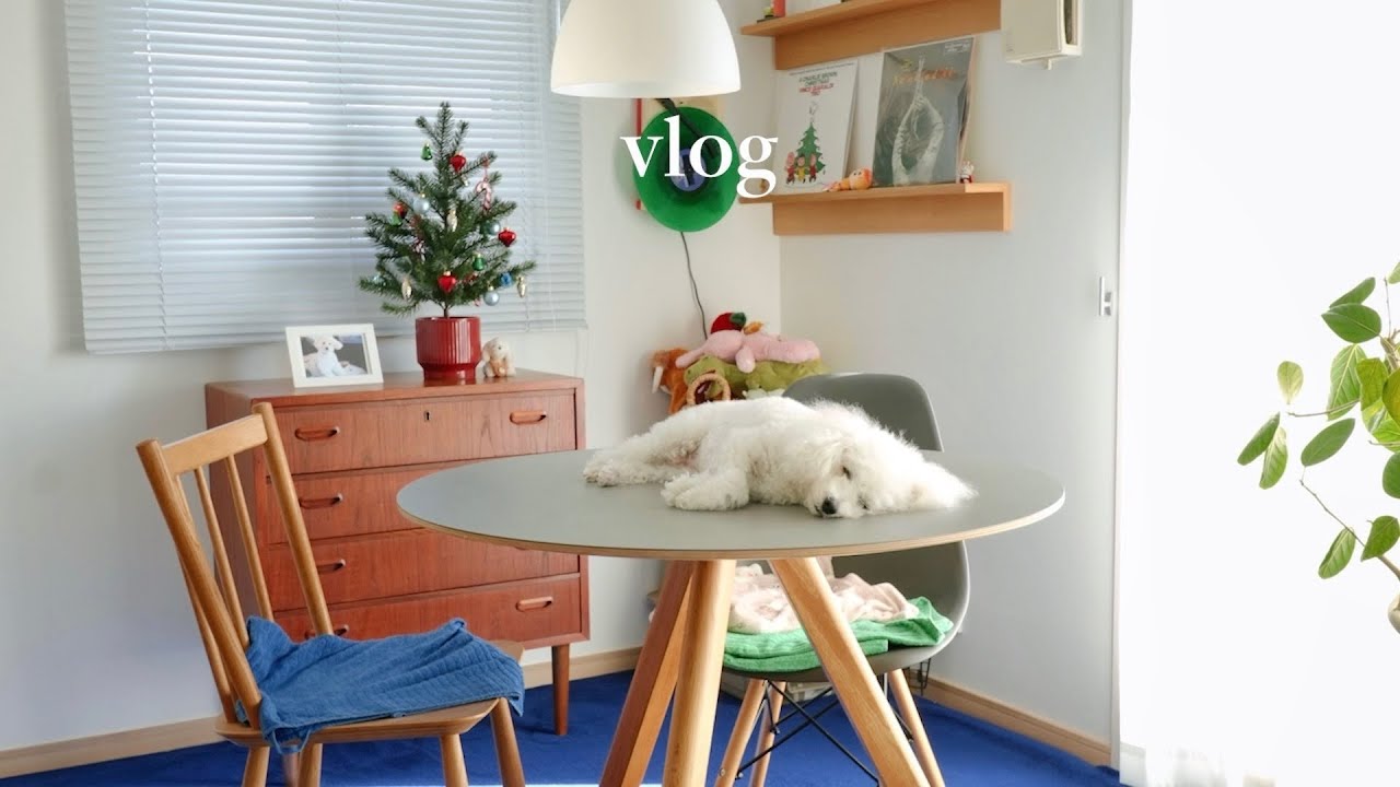 День с моим той-пуделем | Рождество IKEA, DoggyBox и утро с панкейками