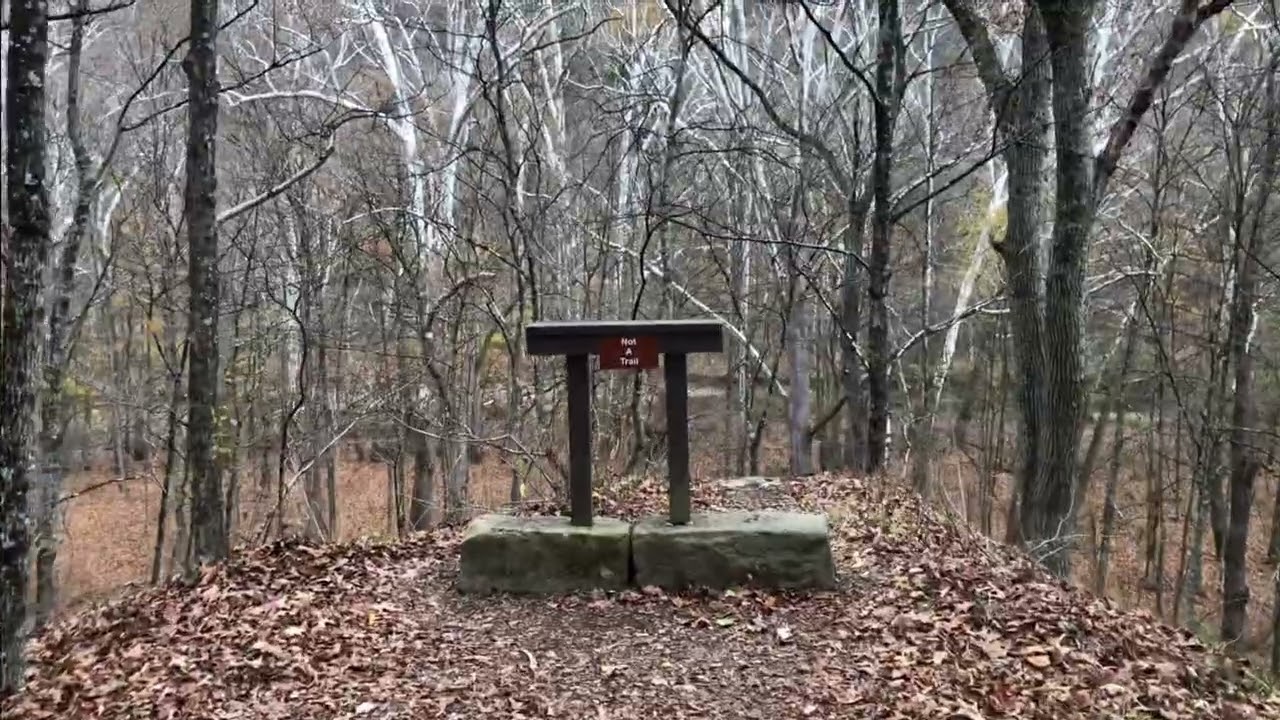A Peaceful Hike on the Audubon Trail