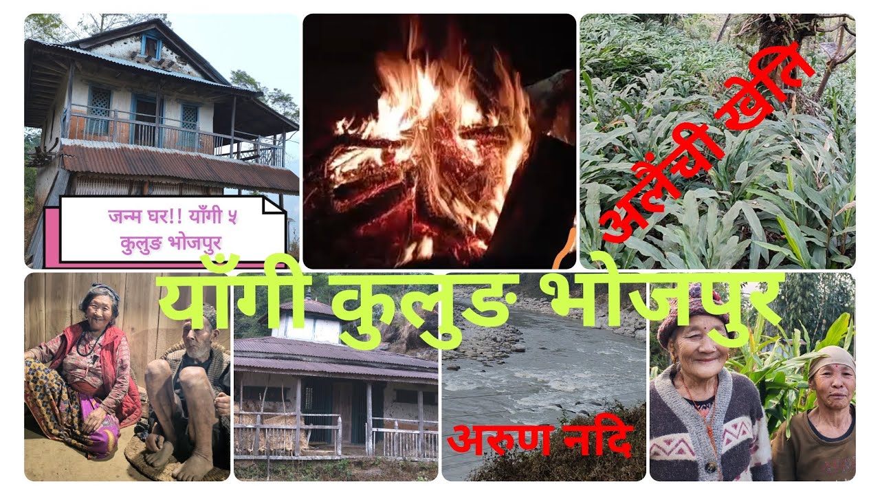 याँगी कुलुङ भोजपुर ! जन्म गाउँ। #viral #shortvideo #nature #travel #youtube #village #nepal 