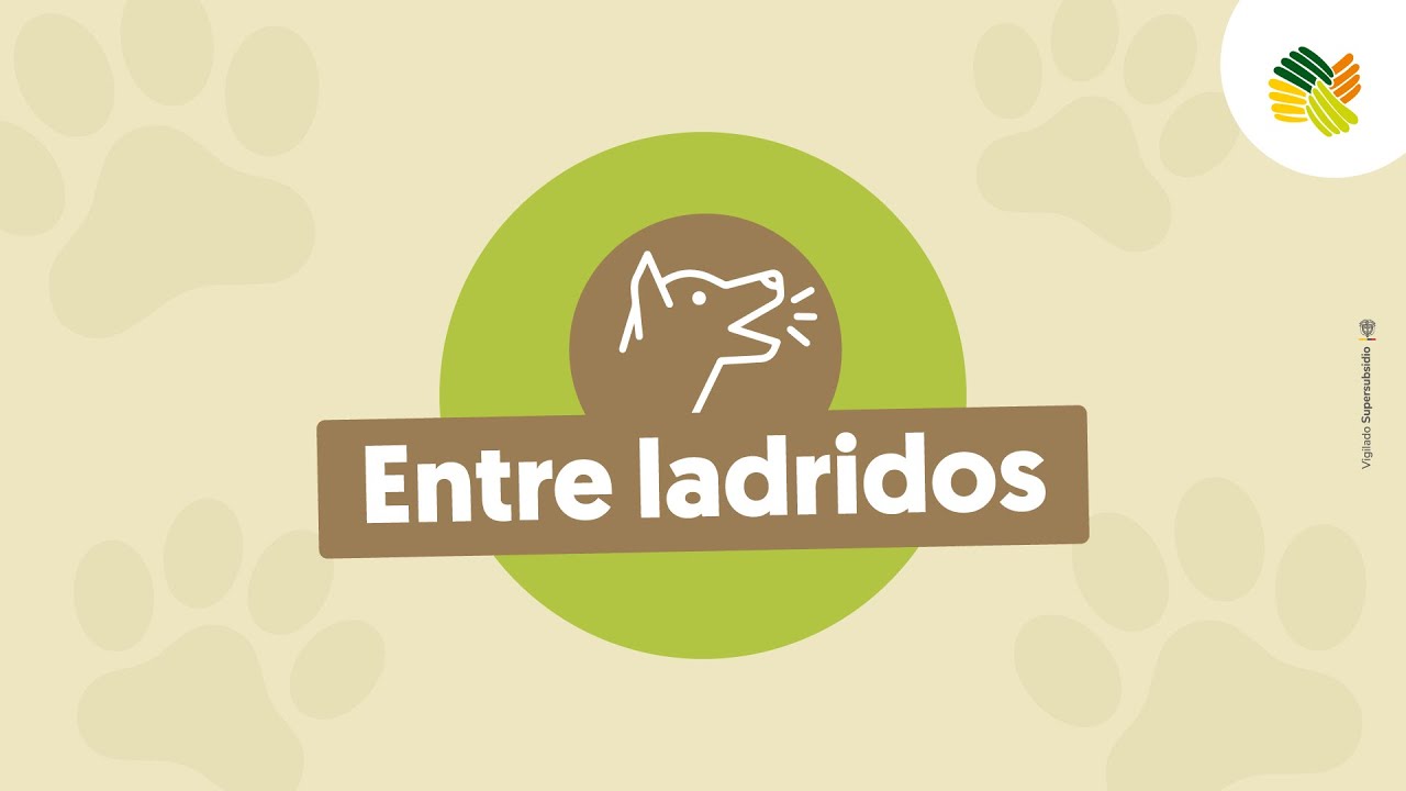 Entre ladridos: ¿Qué dice tu perro? Diccionario canino