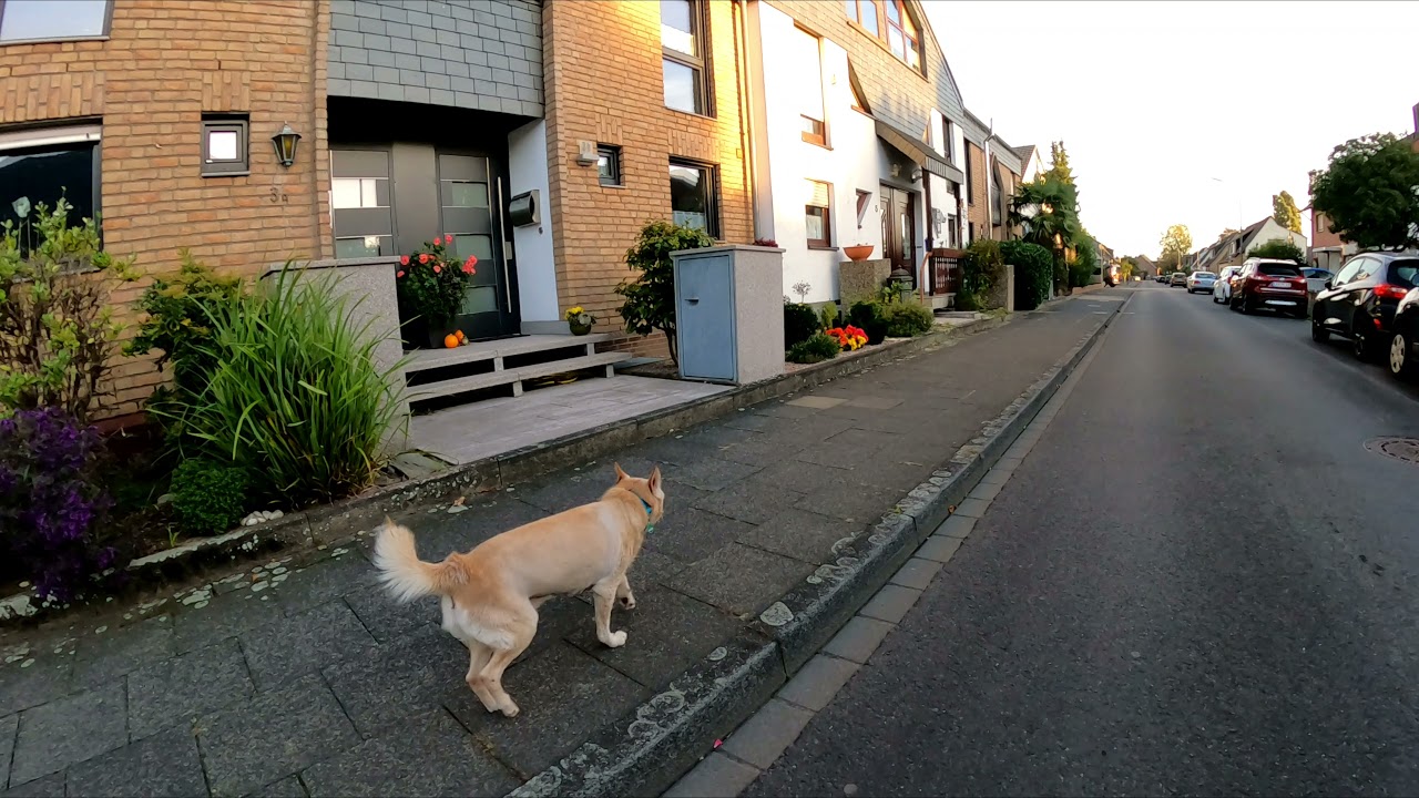 Leverkusen Hitdorf, 01.10.2021