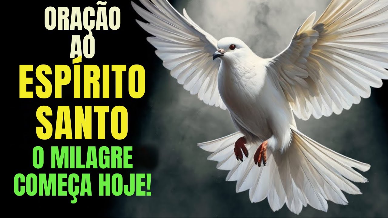 ESPÍRITO SANTO ENTRA NA MINHA CASA E TRAGA O MILAGRE NO IMPOSSÍVEL QUE MUDARÁ MINHA VIDA HOJE