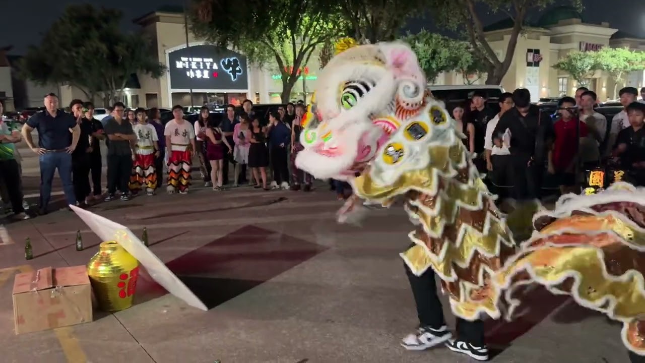 On Ngai Inauguration: Lion Dance Teams Freestyle