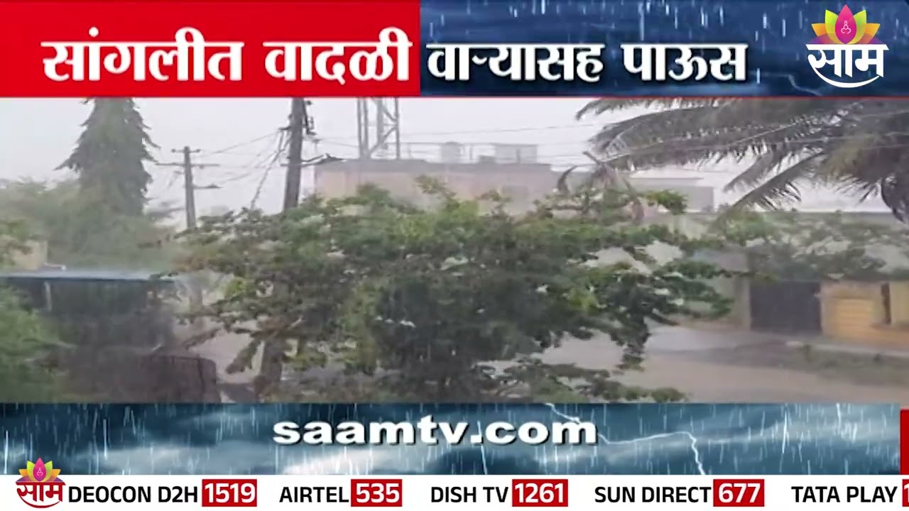 सांगलीत वादळी वाऱ्यासह मान्सूनपूर्व पावसाची हजेरी | Sangli Rain Update