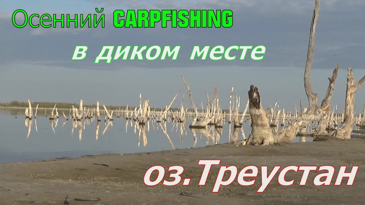 Особенности ловли КАРПА на озере ТРЕУСТАН
