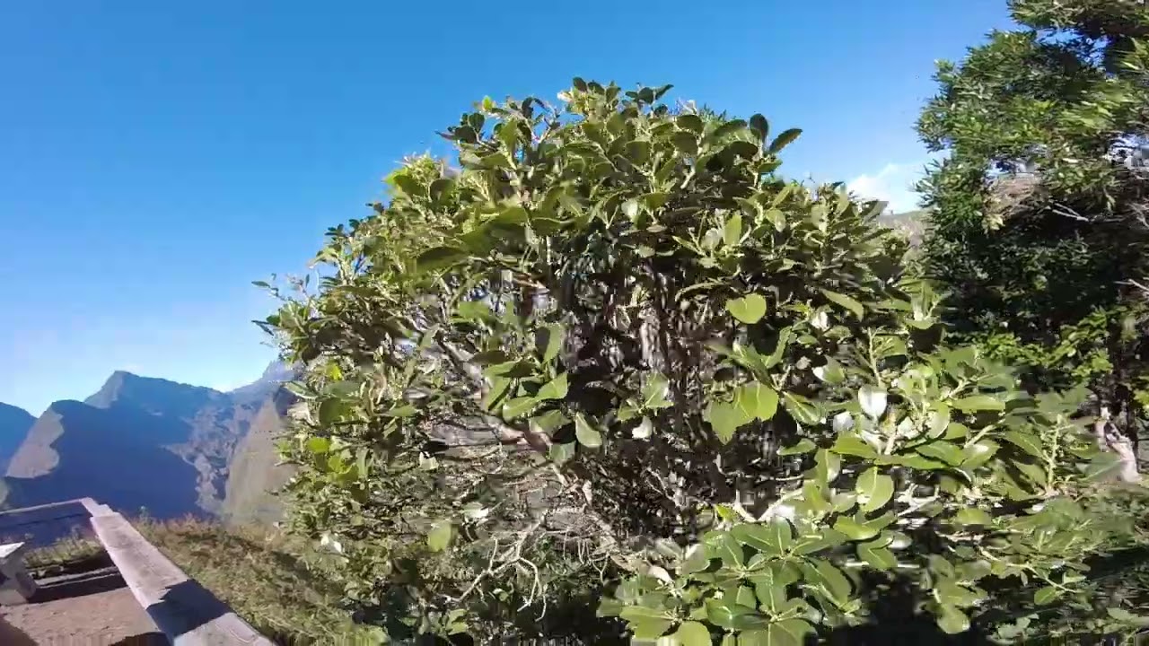 La Réunion - Cirque de Mafate
