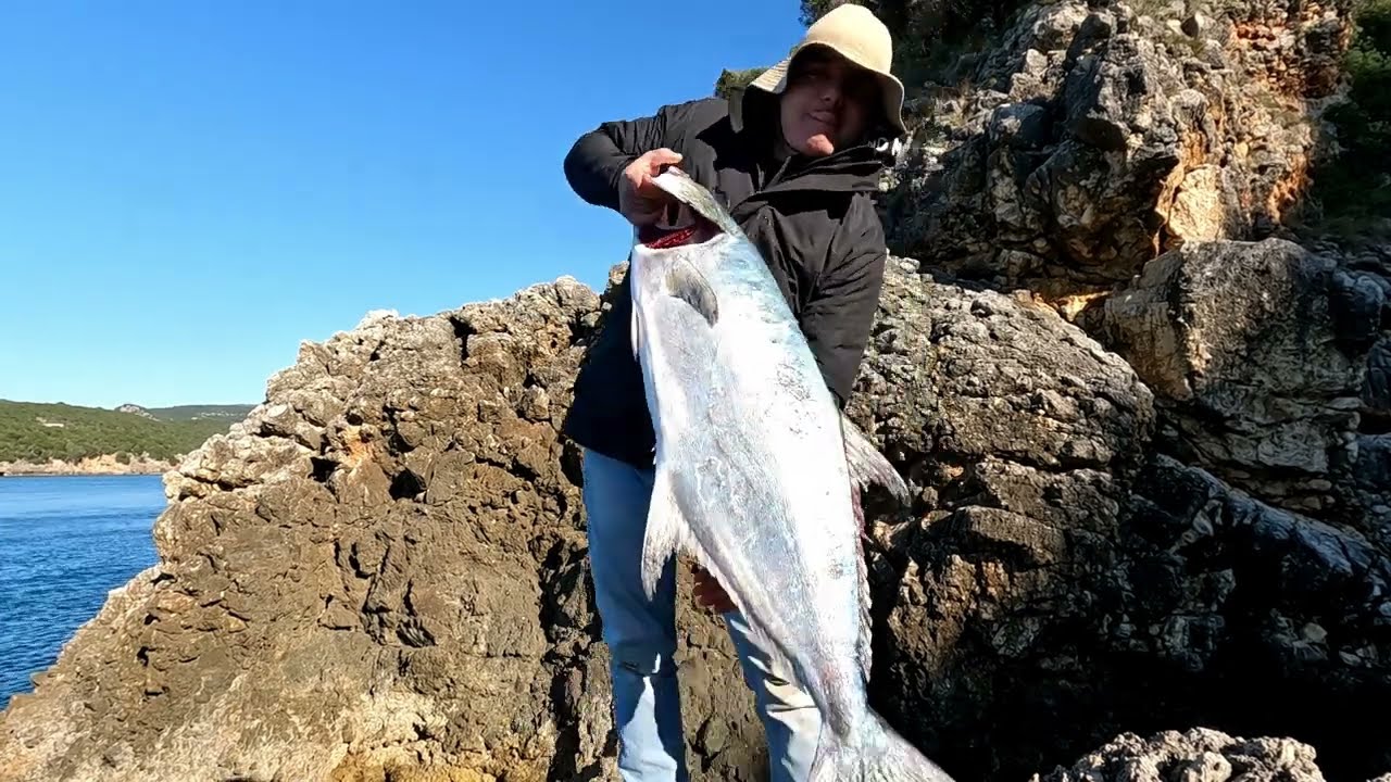 Ψάρεμα θρίλερ..Συναγρίδα+Λίτσα ρεκόρ (Lichia amia)16.500 kg!!