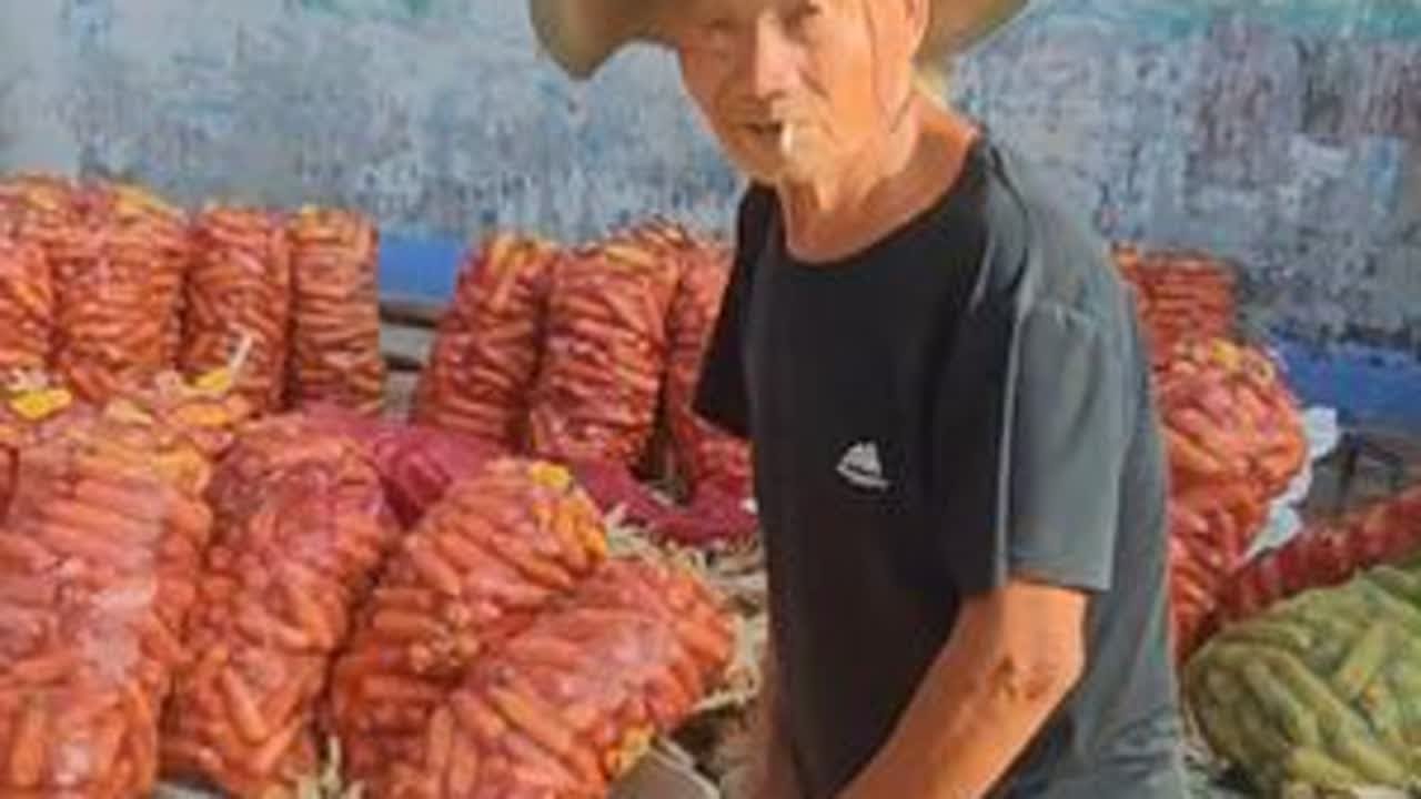 大爷家的玉米提前就收割了，还把玉米全都拉回了家，只因害怕亏损所以先放着不卖。#又到了收玉米的季节 #玉米
