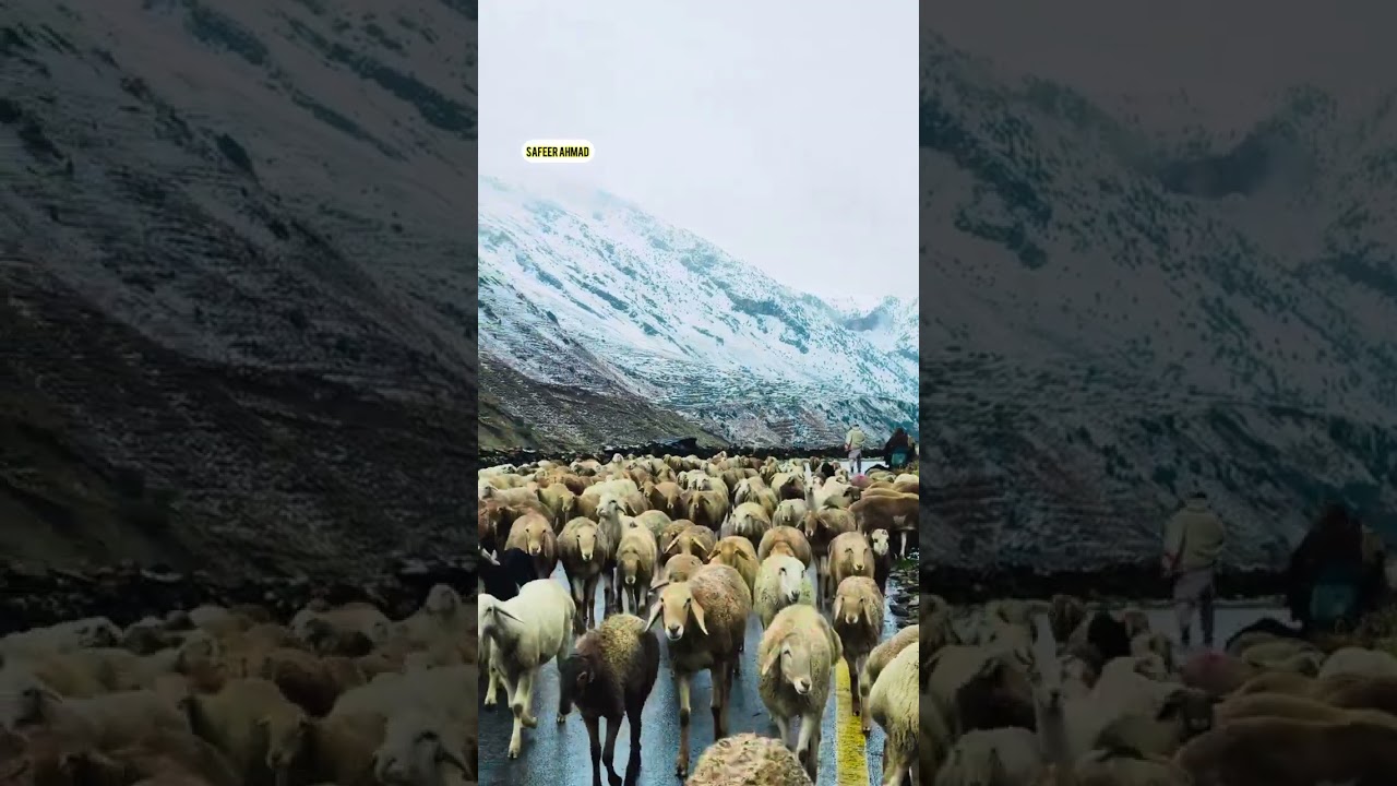 ناران کاغان ویلی