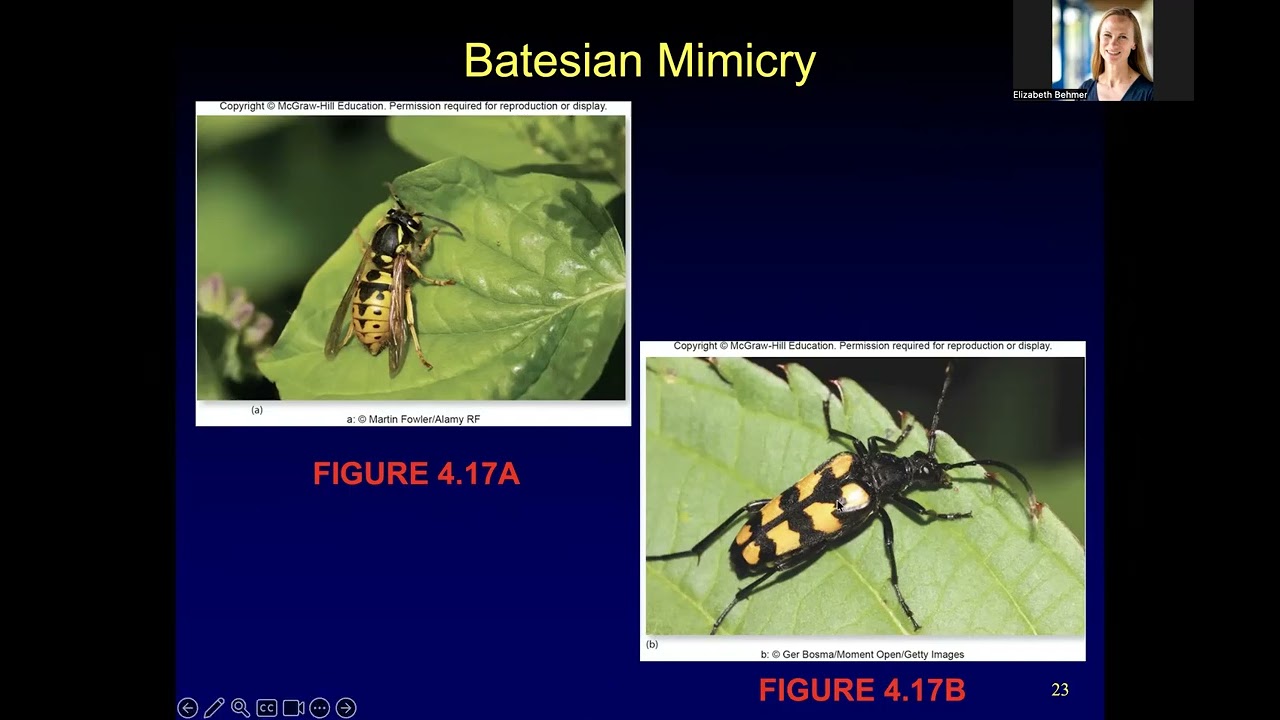 Ch. 4 - Evolution, Biological Communities, & Species Interaction