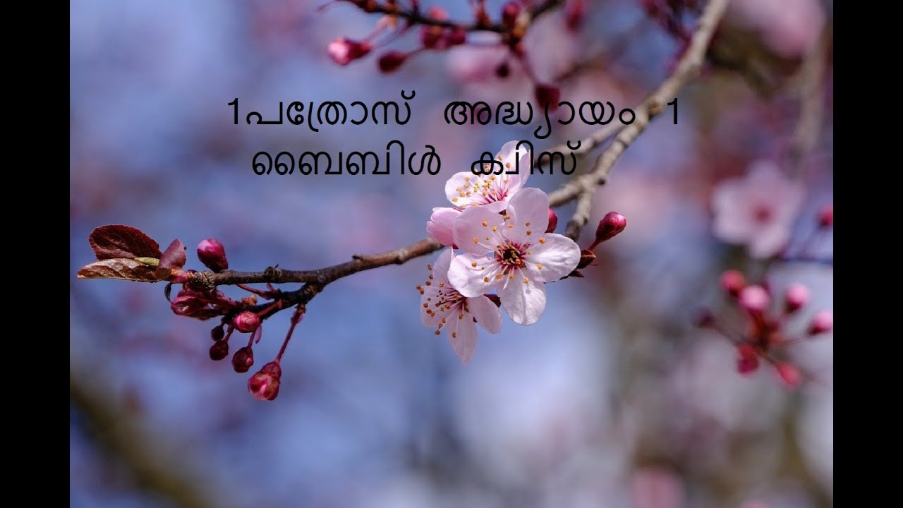 1  പത്രോസ് അധ്യായം 1 ബൈബിൾ ക്വിസ്/1 Peter chapter 1/Shema Bible Quiz
