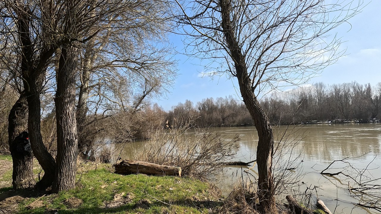 Partidă de primăvară pe Canalul 36🐟🎣