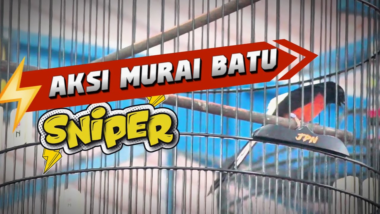 MAIN TIKET 550K - MURAI BATU SNIPER | GRAND LAUNCHING BP3ELITE