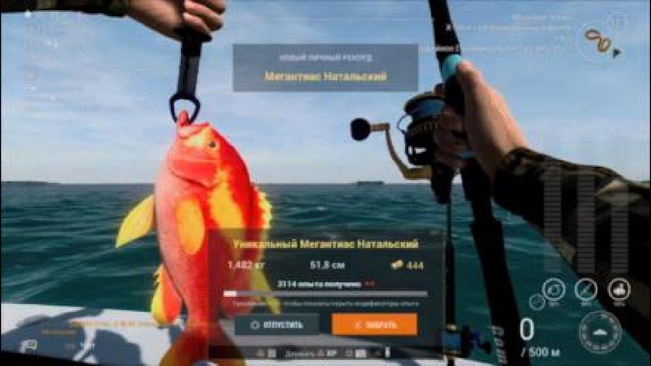 Fishing planet нуума куда мальдивы:уникальный мегантиас натальский