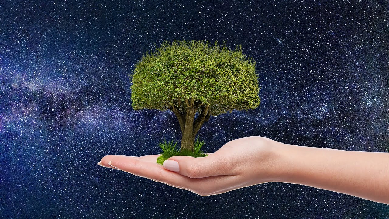 DNA Cleansing