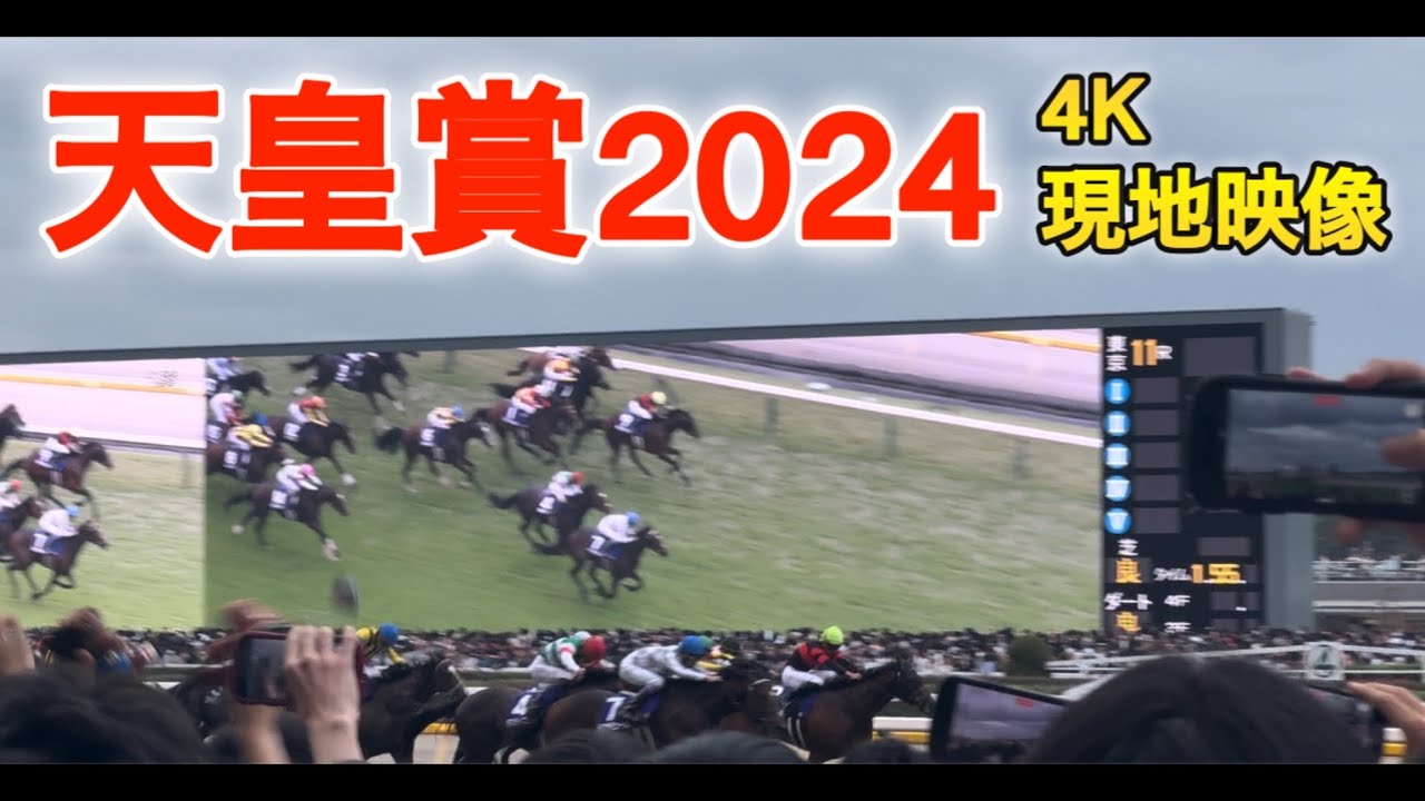 【2024天皇賞】ドウデュースが美しかった 「だからドウデュースって言うたやん」と叫ぶねき 現地映像 4K