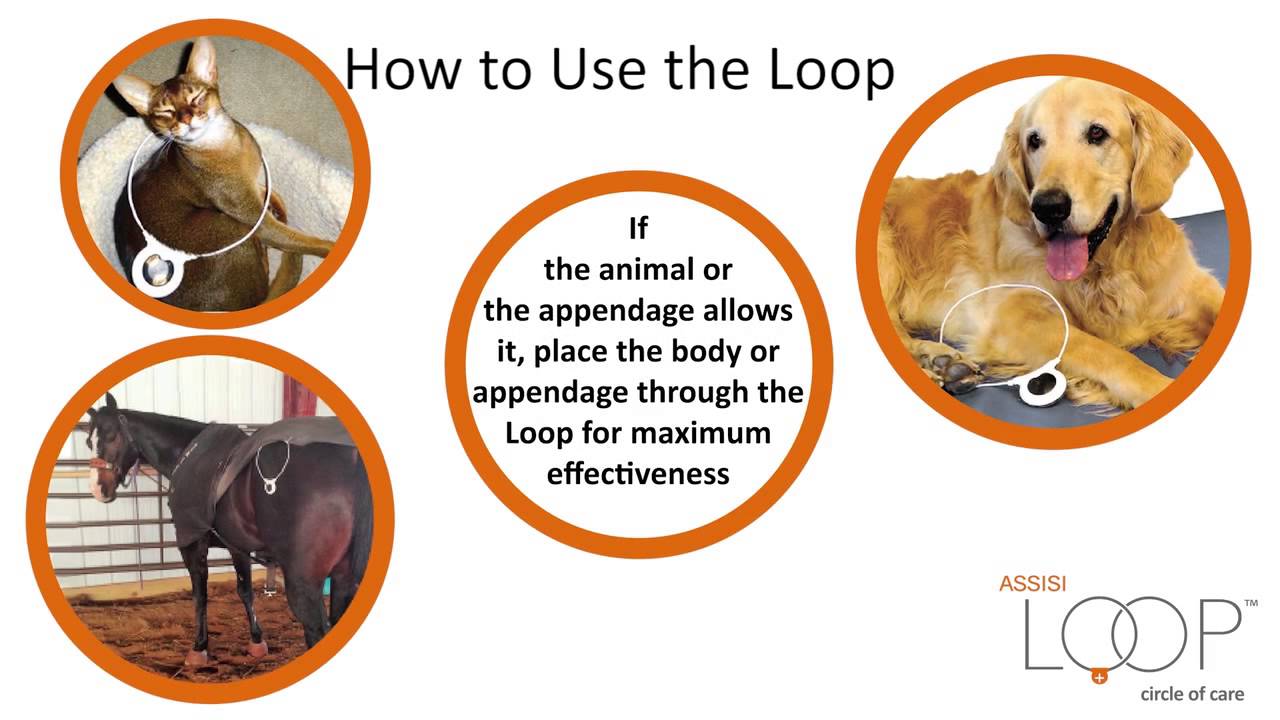 The Assisi Loop: An Overview