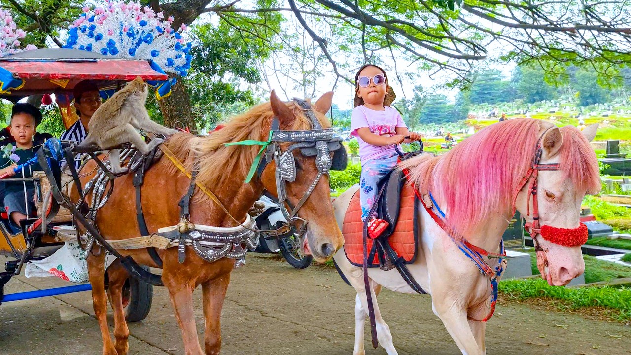 NAIK DELMAN ISTIMEWA 🐎 LAGU ANAK ANAK - KUDA DELMAN
