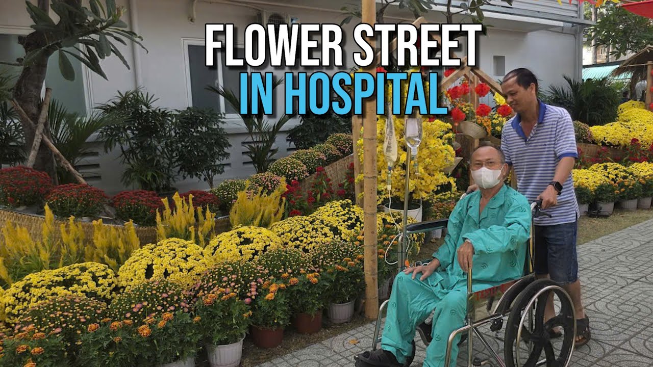 Tet flower street in HCM City hospital | Đường hoa Tết cho bệnh nhân