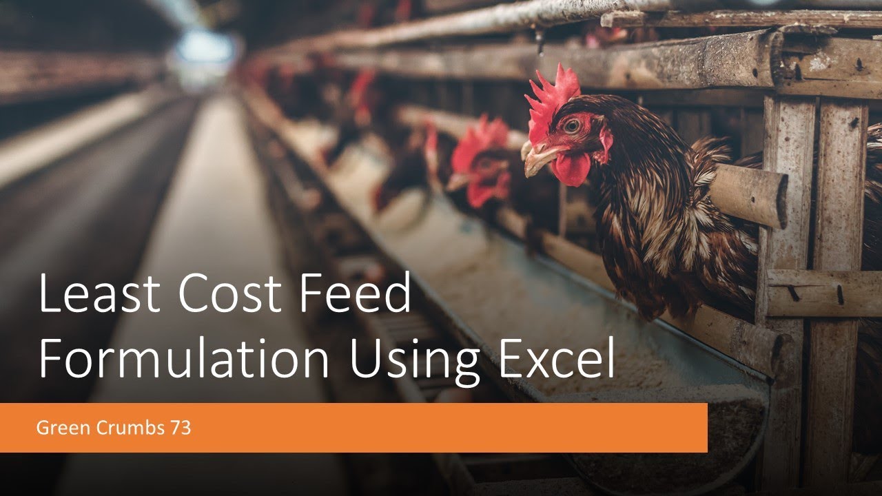 Least Cost Feed formulation using excel