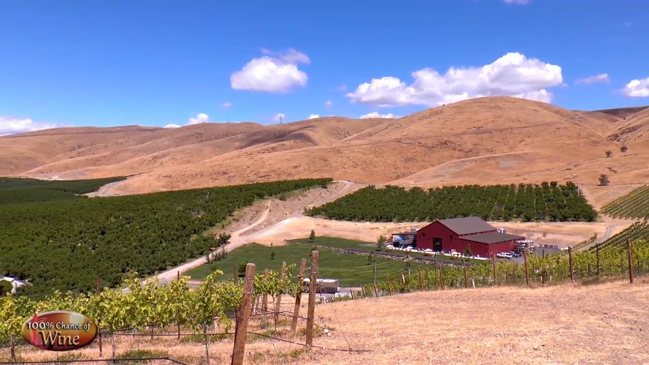 100% Chance of Wine - Upper Yakima Valley