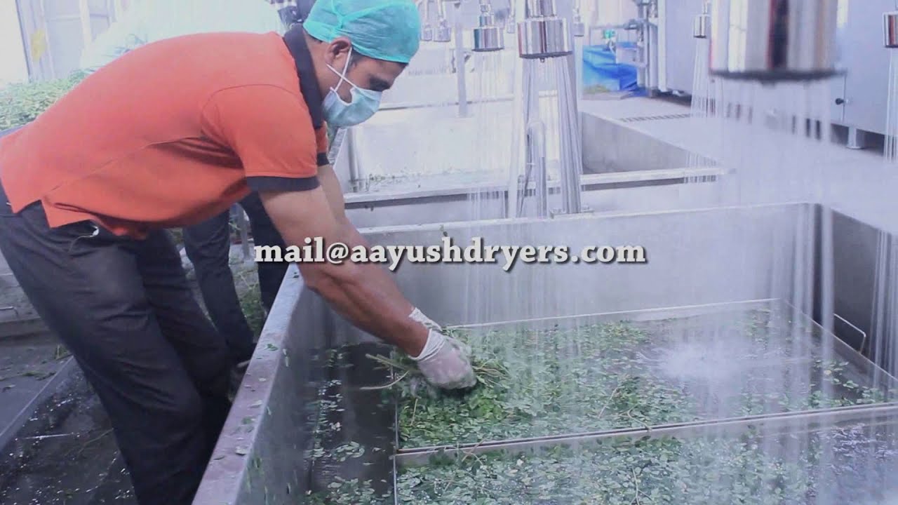 Continuous Moringa Leaves Dryer Machine